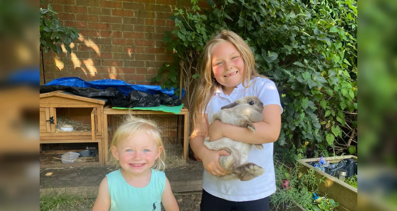 Southampton rabbit court order
