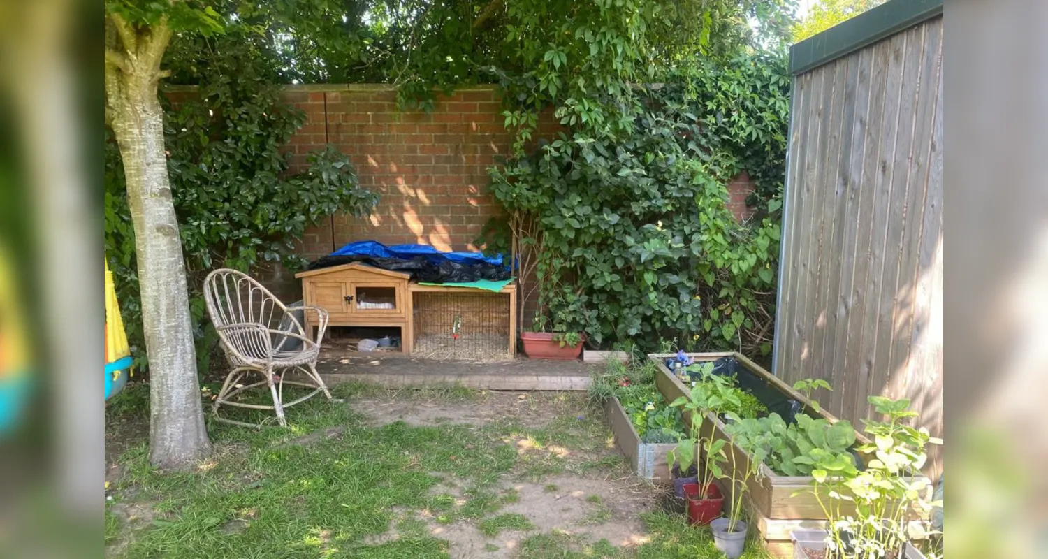 Southampton rabbit court order
